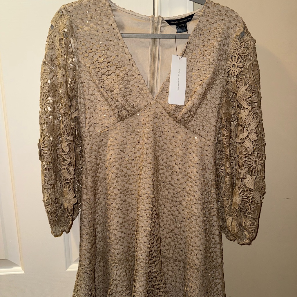 French Connection Floral Lace Long Sleeve Dress - Cream
